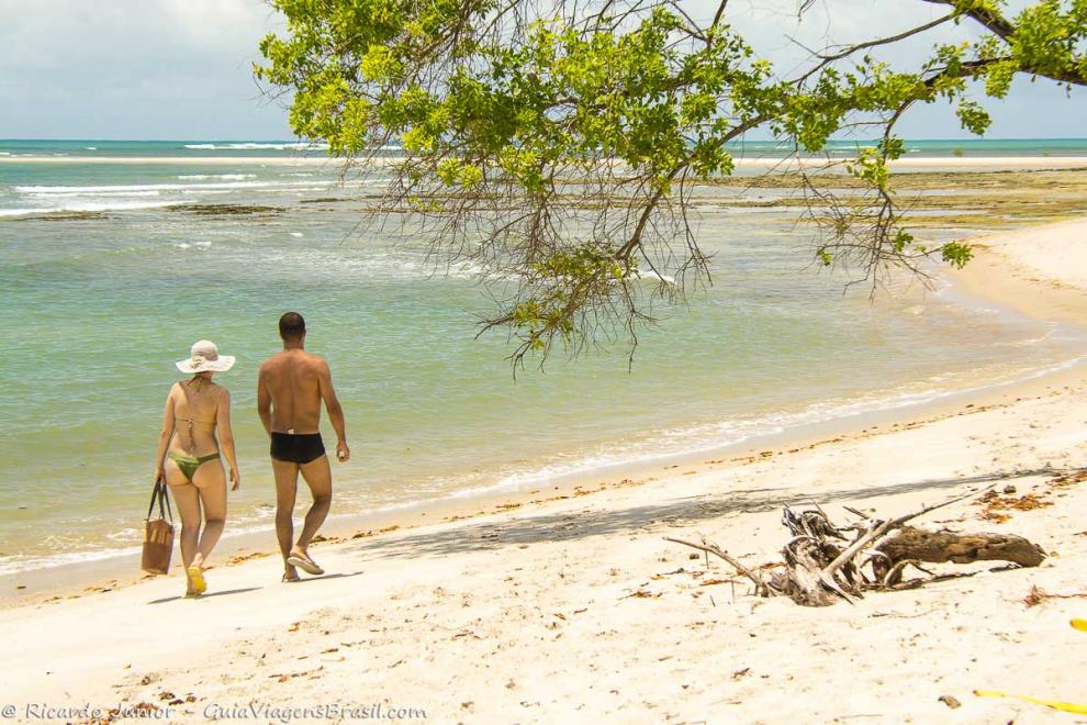 Imagem  das belezas da natureza, árvores no meio da Ilha de Boipeba.